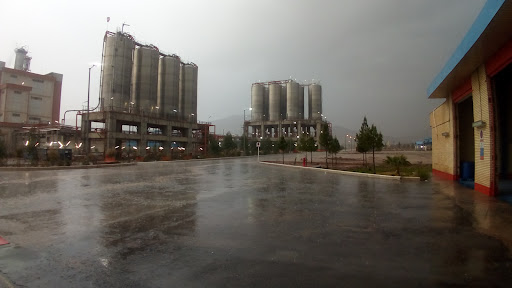 پتروشیمی لرستان