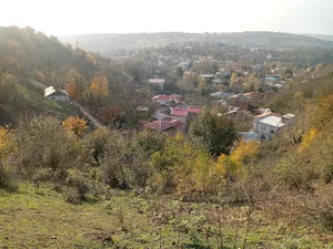 باغ امیر آمو