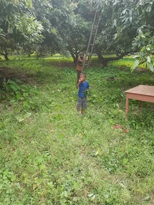 Pabna - Ishwardi highway