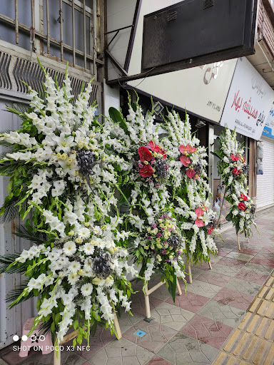 گل قاصدک
