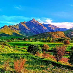 قروه کنگره