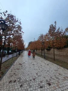 مسیر دوچرخه عفیف‌آباد