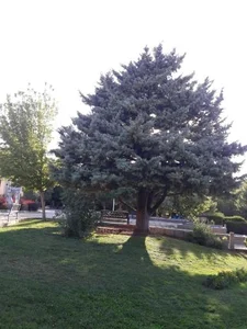 بوستان گلچین 3