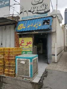 مرغ فروشی زنده یزد