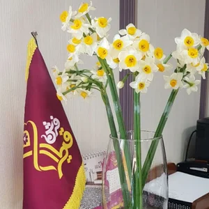 نمایندگی فرش قیطران