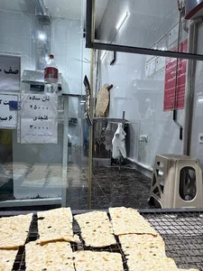 نانوایی سنگکی