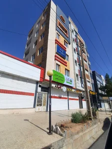 بیمه میهن