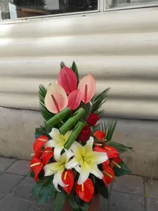 گل فروشی دنیز 4