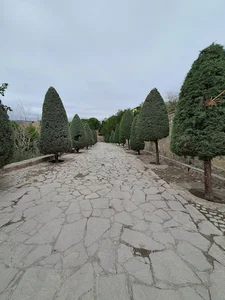 بوستان کوهستانی شاندیز