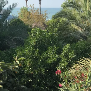 مجتمع ساحلی بالاس 3