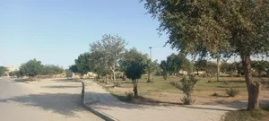 پارک 4