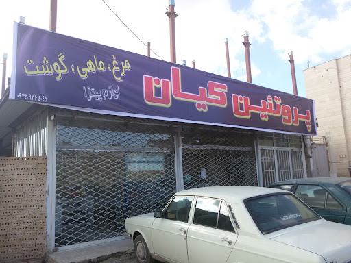 پروتئین کیان کوهجانی
