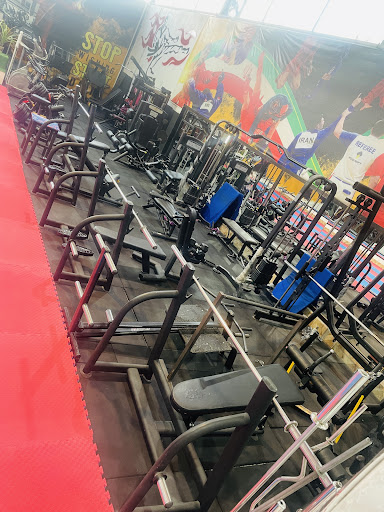 باشگاه mma آرون
