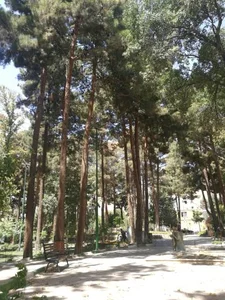 پارک کودک 5