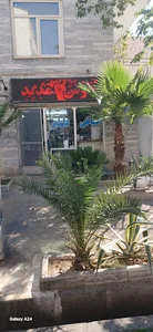 طباخی دلپذیر