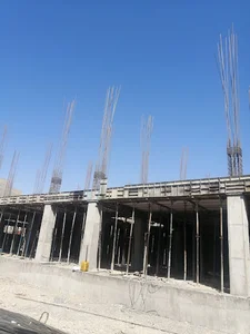میدان لاله