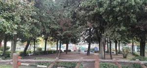 پارک جوان 5