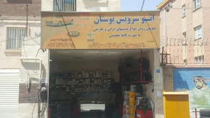 اتو سرویس بوستان