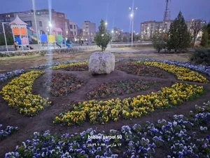 بوستان اقاقیا 2