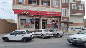 افق کوروش میبد