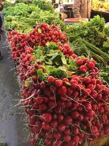 سبزی فروشی مهدی عرب 2
