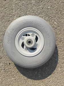 موژان طب