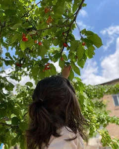 طبیعت گردی کودکان اردیبهشت