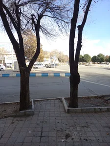 میدان ادواردو آنیلی