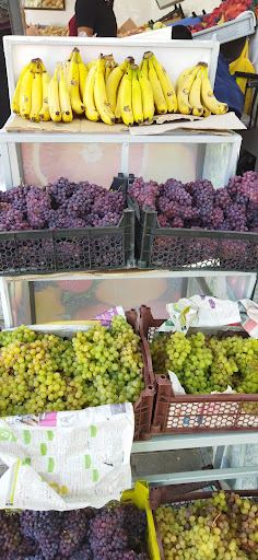 میوه فروشی برادران دشتکی