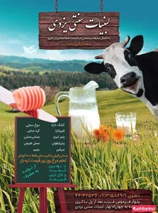 لبنیات سنتی یزدی 2