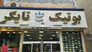کتونی تایگر