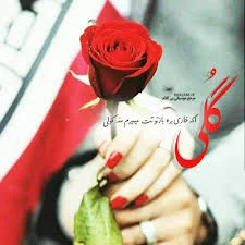 آهنگ بی کلام گلی از مسیح و آرش | مرجع موسیقی و آهنگ بی کلام