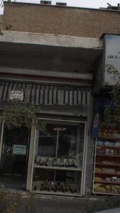 کفش شبستری
