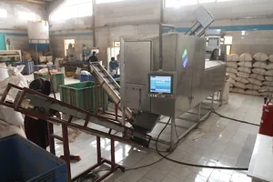 sorchin sorter