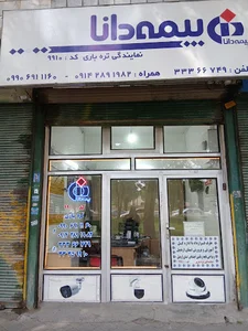 بیمه دانا