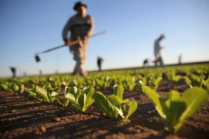 فروشگاه کفش اروجینال وارداتی روما