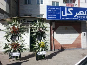فروشگاه شهر گل