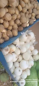 ارزنسرای میوه خدابنده 5