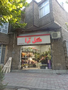 آقای شوارما