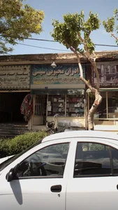 برادران محبوبی سیسی 2