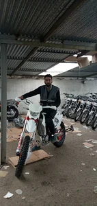 تیزپر توس