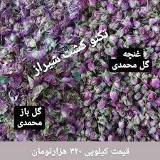 گلخانه تکنوشیر (تکنو کشت)