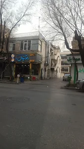 رادیکال فست فود