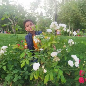 چمن مصنوعی بوستان بسیج