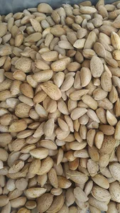 تویسکبار(خشکبار تویسرکان)