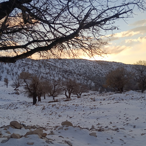 مزارع چکینه