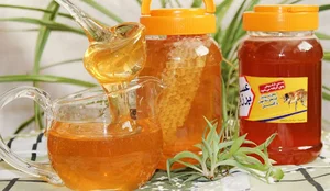 فروشگاه اينترنتي عسل کده