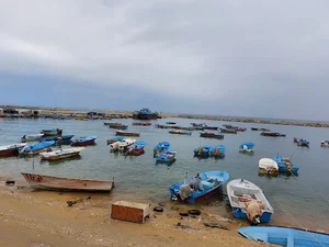 اسکله ماهیگیری