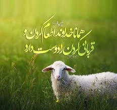 قربان راجع
