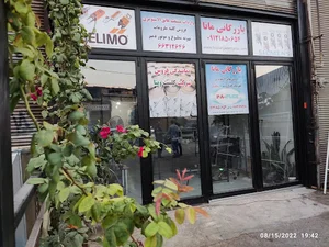 بازرگانی مانا